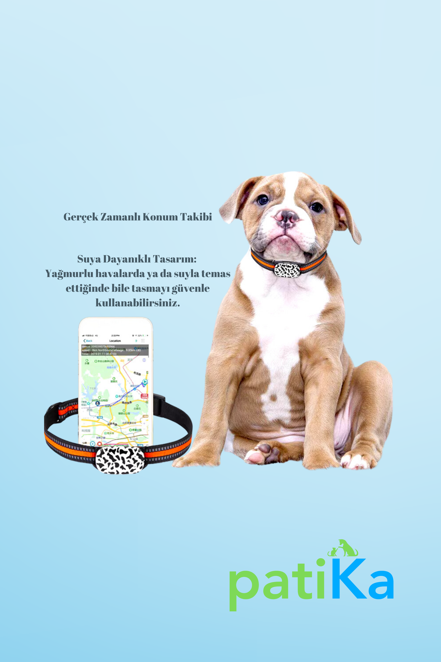 Kedi GPS Takipli Tasma