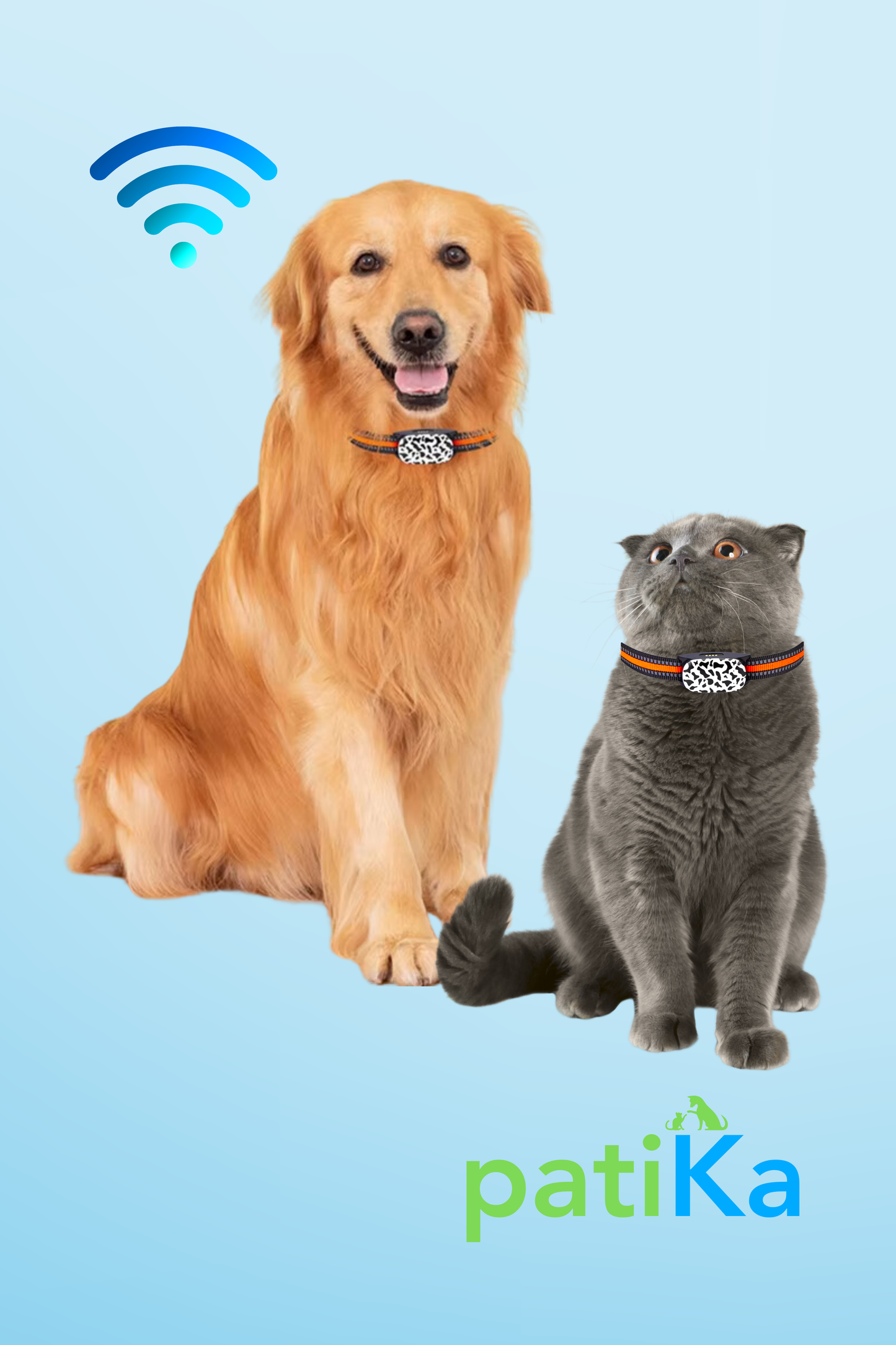 Kedi GPS Takipli Tasma